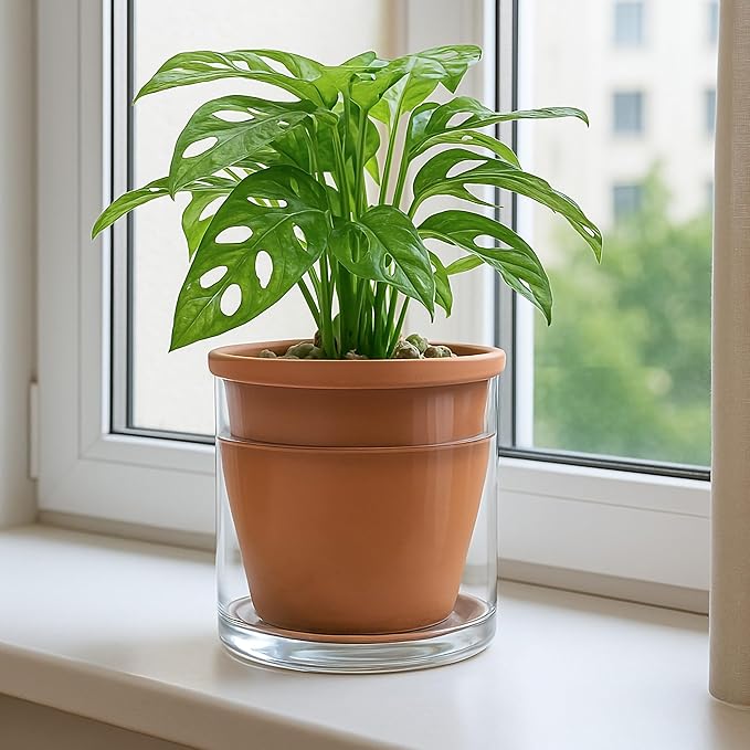 D'vine Dev 6 Inch Design Self Watering Pot for Indoor Plants, Terracotta Planter with Cylinder Glass Cup, 37-X-B-1 DvineDevPlanterPotsandStand