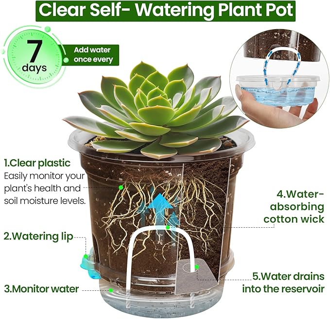 MIXC 12 Packs 5 Inch Self Watering Pots for Indoor Plants - Clear Nursery Plant Pots with Drainage, Deep Visible Reservoir - Flower Planter Outdoor with Wicking Rope MIXC