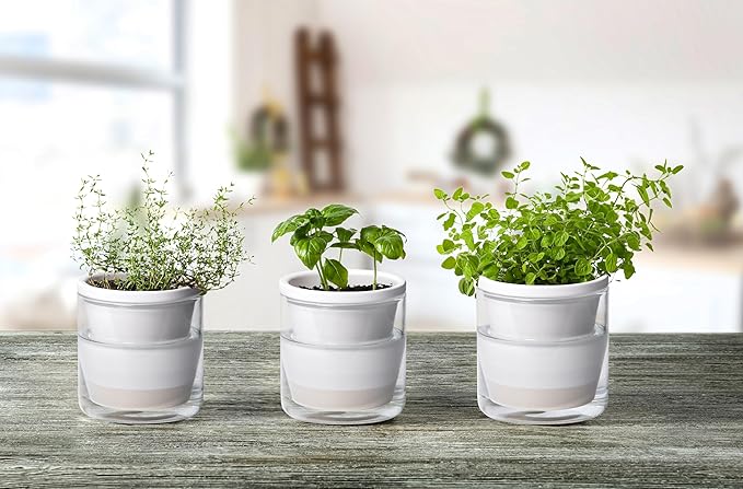 D'vine Dev 4 Inch Design Self Watering Planter for Indoor Plants, White Terracotta Pots with Cylinder Glass Cup, Set of 3, 37-Z-A-2-T DvineDevPlanterPotsandStand