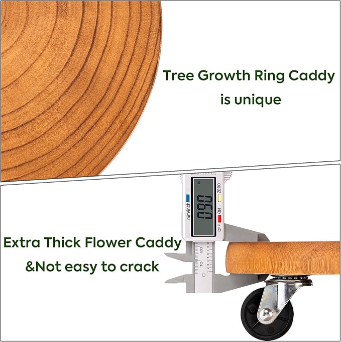Yangbaga 2Pack 12inches Tree Plant Stand with Wheels,Rolling Plant Caddy with Wheels Heavy Duty- Plant Rollers with Lockable Casters for Outdoor /Indoor/Plant Pot/Flower Pot/Patio Hanber