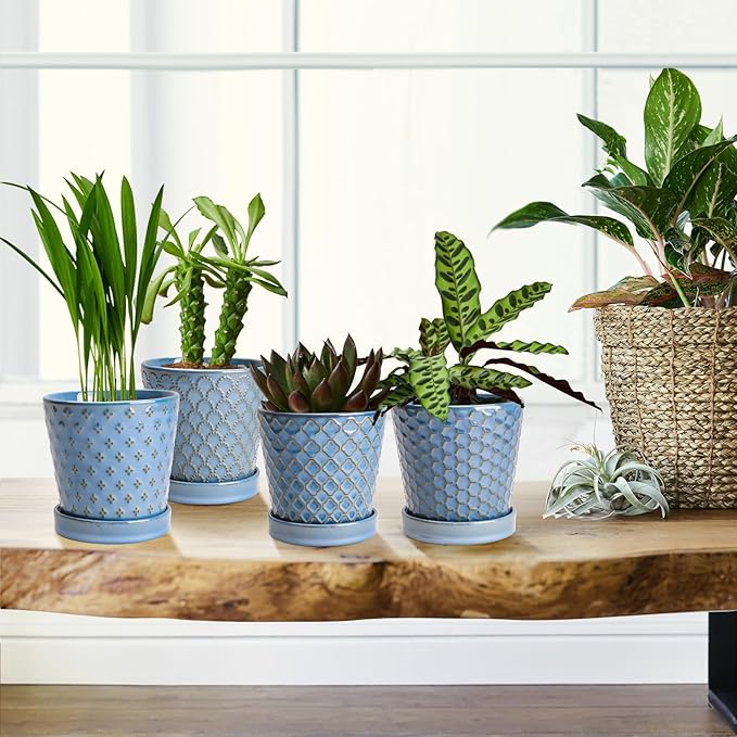 EFISPSS Plant Pots,5 Inch Pots for Indoor Plants,Planters with Drainage Hole and Saucer, Ceramic Flower Pots Desktop Office Windowsill Decoration Gift Set of 4 - Sky Blue EFISPSS