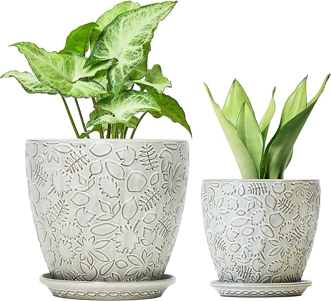 8 Inch + 6 Inch Retro Ceramic Planter Set of 2 with Drainage Hole and Saucer for Multiple Plants, Indoor-Outdoor Garden Pots for Succulent, Orchid, and Flower (Retro White) Bestseler