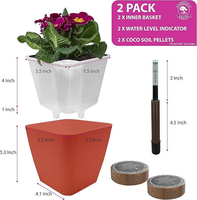 GARDENIX DECOR 5" Self Watering pots for Indoor Plants - Flower Pot with Water Level Indicator for Plants, Grow Tracking Tool - Self Watering Planter Plant Pot – 2 Pack Terracota Rootora
