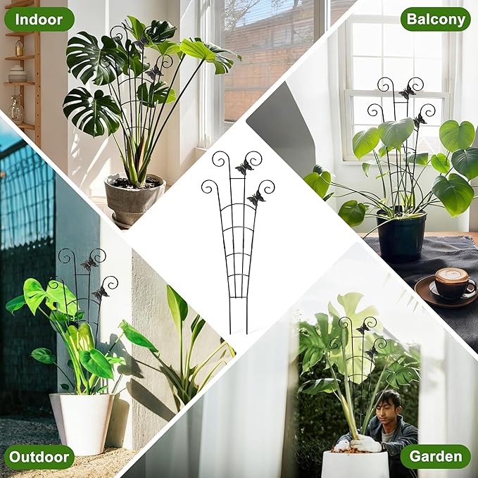 COOMIN 30'' Monstera Plant Support Outdoor, Metal Expandable Plant Supports for Indoor Plants, 2P Garden Trellis for Climbing Plants Indoor - Ivy, Pothos, Philodendron, Hoya COOMIN