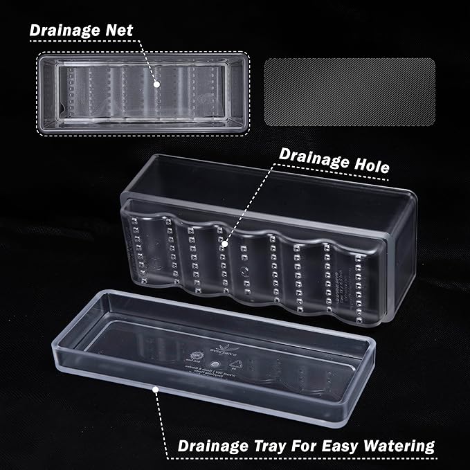 D'vine Dev 12 Inch Window Box Planter, Rectangle Plastic Herb Planter with Drainage Holes and Saucer, Indoor Succulent Cactus Vegetable Pot for Windowsill, Garden Balcony, Clear, Set of 1, 76-X-D-1 DvineDevPlanterPotsandStand