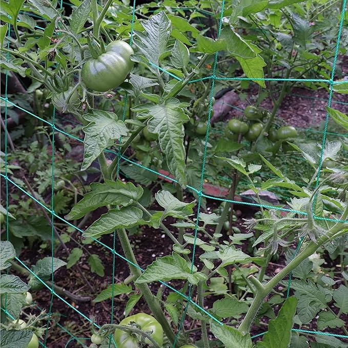 Trellis Netting for Climbing Plants - Heavy Duty Garden Trellis Netting for Cucumber, Vine, Fruits & Vegetables Tomato Plants Trellis Net, Climbing Vining Plants (2-Pack 16.4' x 6.6'Ft) Miuezuth