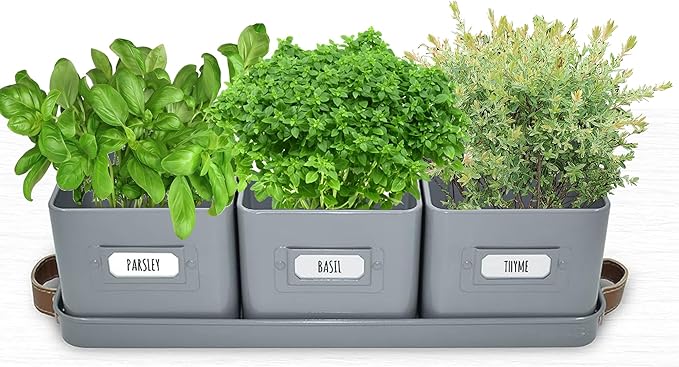 volila Herb Planter Indoor - Set of 3 Grey Indoor Herb Garden Pots for Plants with Leather Handled Tray - Window Sill Plant Shelf - Herb Pots with Drainage Holes and Labels volila