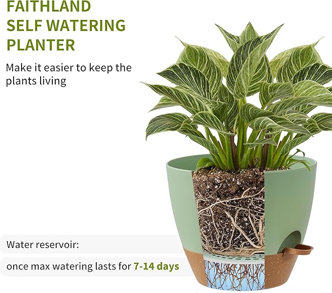 FaithLand 3-Pack Large Planter Pots, 12 10 9 Inch Self Watering Flower Pots for Indoor Outdoor Garden Plants, Green with Brown FaithLand