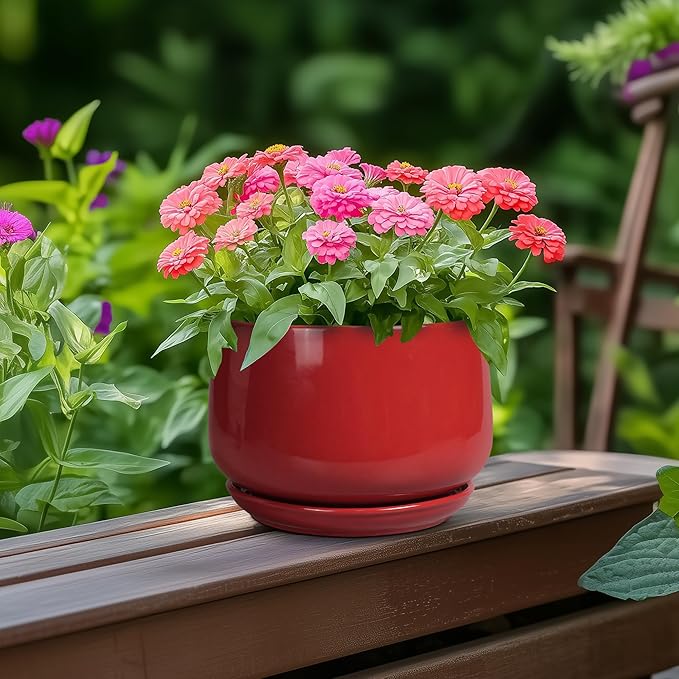 G EPGardening Ceramic Pot for Plants - 6 Inch Plant Pot with Drainage and Ceramic Tray, Modern Living Room Decor, Planter for Housewarming Gifts New Home, Red GEPGardening