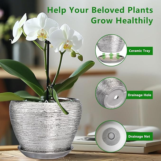 Pot for Plants 8 Inch - Ceramic Plant Pot Indoor with Drainage Hole and Saucer Decorative Planter for Indoor Plants Modern Round Flower Pot for Home Decor Silver Ceramicfor