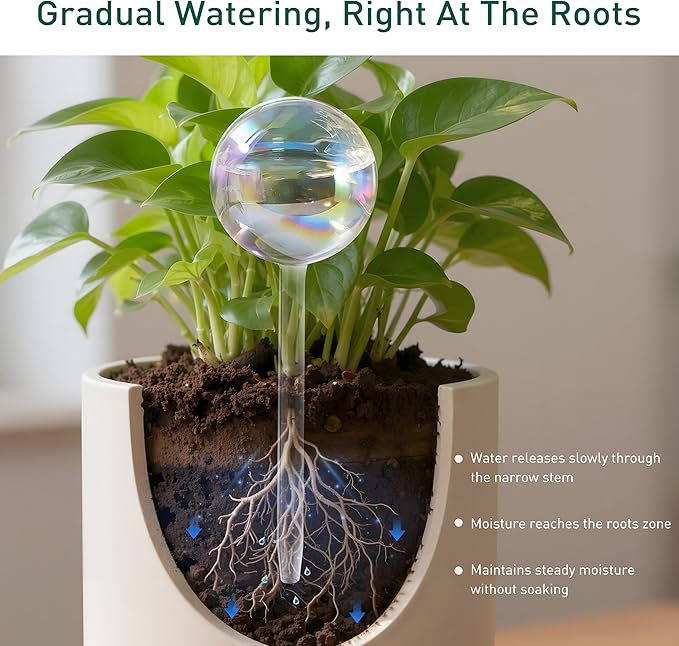 Extra-Thick Clear Glass Plant Watering Globes, Rainbow Gradient Self Watering Globes, Automatic Plant Waterer, Self Watering Planter Insert Spikes Devices for Everyday or Vacation Use, 6-Pack SoilaguaDirect