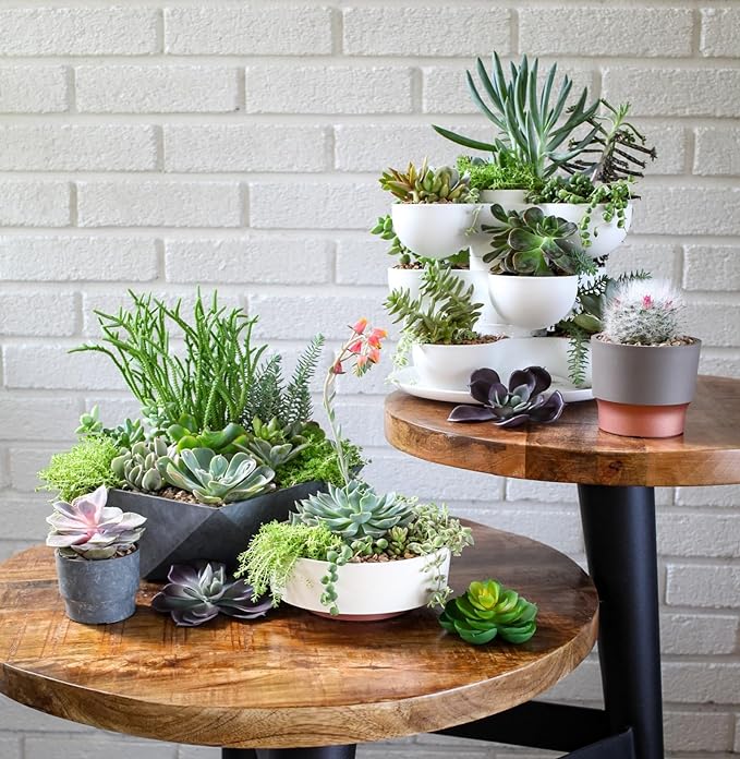 The HC Companies 6 Inch Round Plastic Succulent Capri Bowl 6"x6"x2.25" in Faux Concrete Color TheHCCompanies