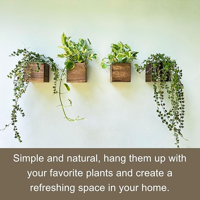 LaLaGreen Wood Planter Boxes for Indoor Plants (4x4 Inch, 6 Pack) Small Square Wall Mounted Planters Flower Pot, Herb Wooden Box Hanging Plant Holder Outdoor Balcony Vertical Garden Modern Home Decor L%C3%A1L%C3%A1Green