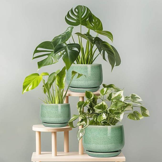 G EPGardening Ceramic Plant Pot - 7 Inch Ceramic Planter for Indoor Outdoor Plants, Flower Pot with Drainage Hole and Tray, Modern Round Planter, Plants Lovers Gifts, Home Garden Decor, Green GEPGardening