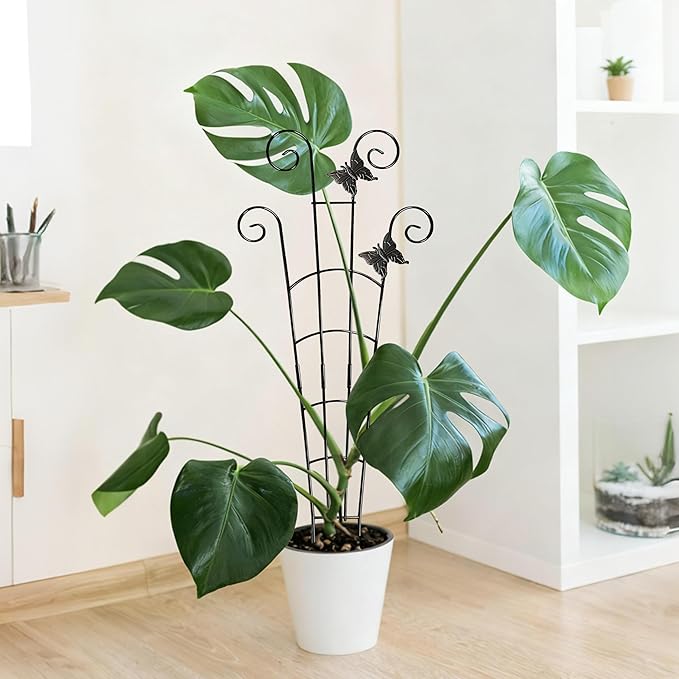30'' Larger Plant Trellis Indoor, Expandable Metal Trellis for Climbing Plants Indoor, House Plant Climbing Support for Monstera Hoya Pothos, 4P Xeeol