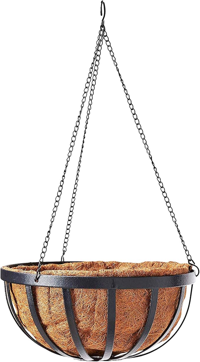 Arcadia Garden Products CB42 12" Solstice Round Hanging Basket, Black Rootora