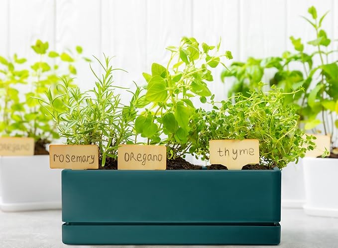 D'vine Dev 12 Inch Window Box Planter, Rectangle Plastic Herb Planter with Drainage Holes and Saucer, Indoor Succulent Cactus Vegetable Pot for Windowsill, Garden Balcony, Green, Set of 2, 76-X-C-2 DvineDevPlanterPotsandStand