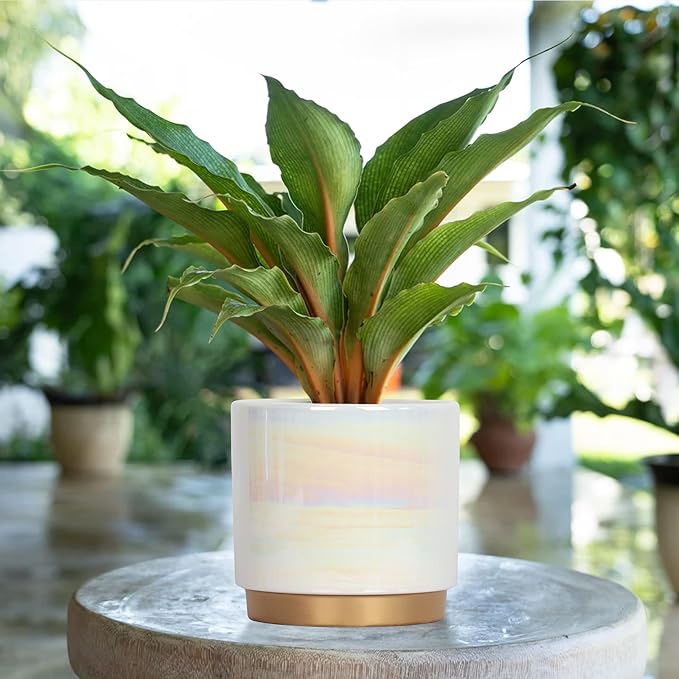 Gepege White Indoor Pots for Plants, Ceramic Planter with Drainage Hole, 9.6inch+7.6Inch+6Inch. Succulent Orchid Flower Pot - Rainbow Pearl Glaze Gepege