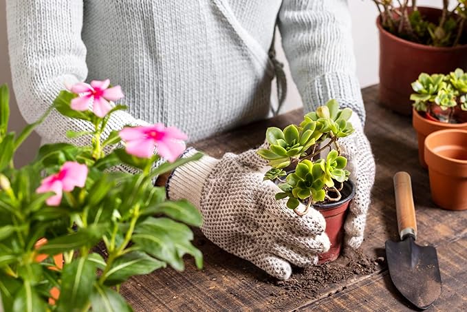 5Pcs Succulent Tools, Mini Garden Tools,Plant Potting Mat as Plant Accessories,Succulent Gardending Hand Tools Kit for Seedling Soil,Caring Succulent,etc,Gifts for Woman’s Gardening work(No Flowerpot) Songtaste