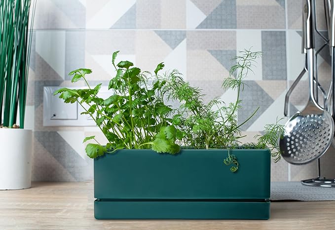 D'vine Dev 12 Inch Window Box Planter, Rectangle Plastic Herb Planter with Drainage Holes and Saucer, Indoor Succulent Cactus Vegetable Pot for Windowsill, Garden Balcony, Green, Set of 2, 76-X-C-2 DvineDevPlanterPotsandStand