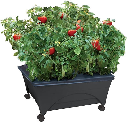 Emsco Group City Picker Raised Bed Grow Box – Self Watering and Improved Aeration – Mobile Unit with Casters Emsco+Group