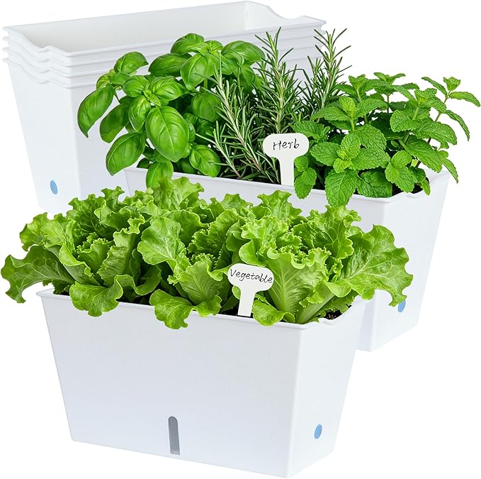 Window Box Planter 6 Pcs, 12.1 Inches Self Watering Plant Pots Rectangle Flower Pots with Drainage Holes and Breathable Trays, Vegetable Planters for Windowsill Patio Garden Balcony Porch Yard (White) Oliz