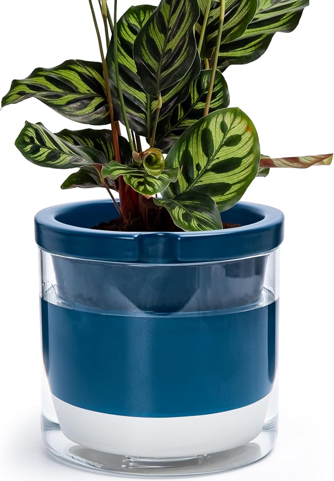 D'vine Dev 8 Inch Design Self Watering Planter for Indoor Plants, Blue Terracotta Pot with Cylinder Glass Cup, 37-X-C-4 DvineDevPlanterPotsandStand