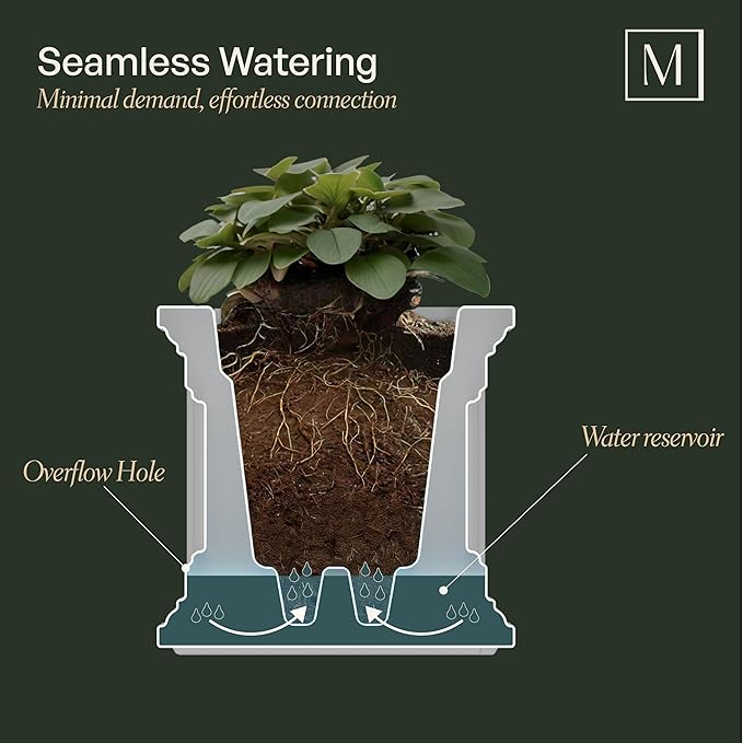 Mayne Fairfield 2-Foot Window Box – Self-Watering, Weather-Resistant Planter for Flowers – Durable Design for Outdoor Use, Perfect for Windows Mayne