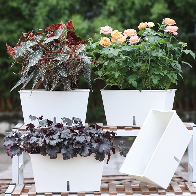 Window Box Planter 6 Pcs, 12.1 Inches Self Watering Plant Pots Rectangle Flower Pots with Drainage Holes and Breathable Trays, Vegetable Planters for Windowsill Patio Garden Balcony Porch Yard (White) Oliz