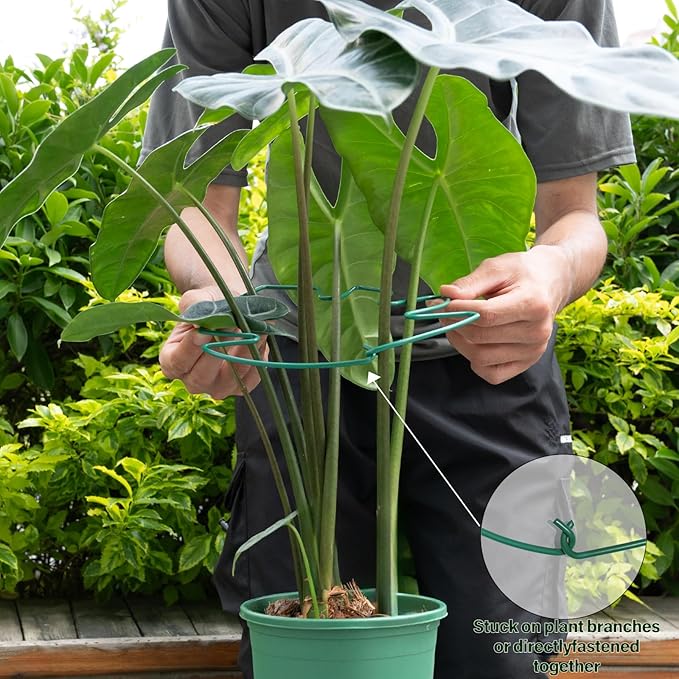 5PCS Monstera Plant Support Stem 9 x 7.6 in- Durable Stabilizer Set for Indoor Climbing Plants, Holders for Enhancing Growth, Ideal Gift for Plant Lovers, Fishbone Cactus Stake Garden Tool Yohsnor