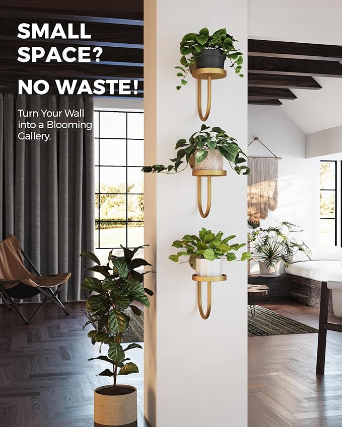 Bamworld Wall Plant Holder Wall Planters for Indoor Plants Plant Hanger Indoor Window Plant Shelves Hanging Plant Holder Window Plant Hanger Plant Decor Golden 3pcs Bamworld