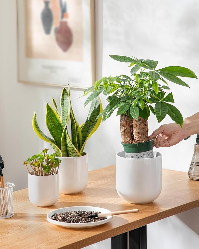vancasso Ceramic Plant Pots, 4+5+6 inches, Set of 3, Planters with Drainage Hole, Flower Pots Planters Pots for Indoor Plants, Modern Indoor Decorative Garden Pot, Home Decor, White vancasso