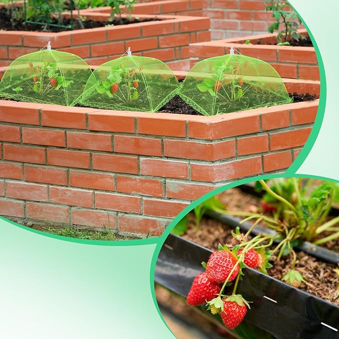 6 Sets Strawberry Plant Support with Mesh Cover - Square Gardening Frame, Animal Barrier, Iron Stakes & Storage Bag for Healthy Strawberries, Tomatoes, Veggies (Green) (6 pcs) NODMIPNS