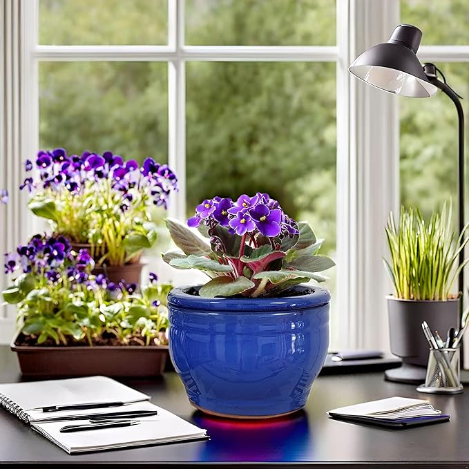 African Violet Pots Self Watering Round Ceramic Violet Pot (Blue, 6 inch) Dphagesy