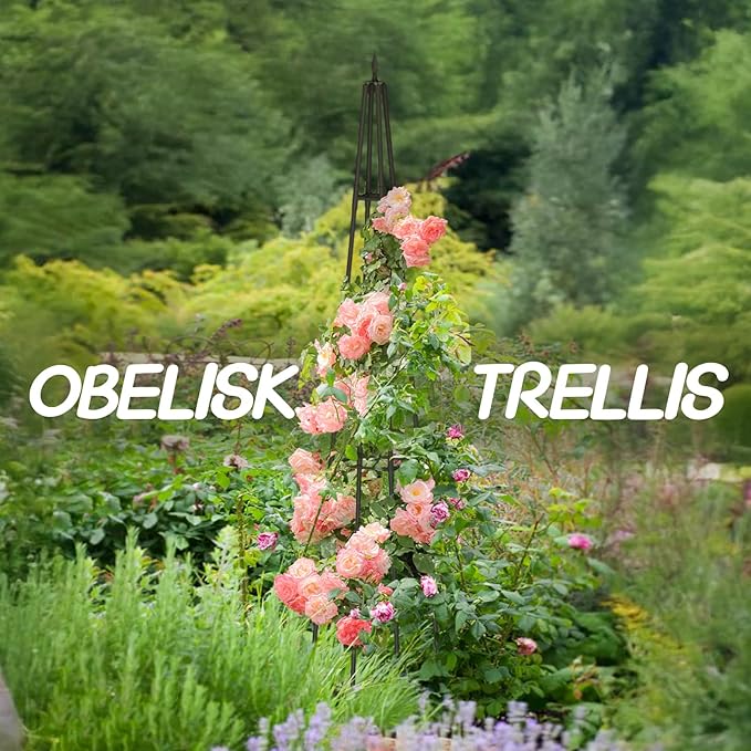 Obelisk Trellis for Climbing Plants Outdoor,6 Ft Garden Trellis for Potted Plants, Metal Trellis with Anti-Rust Coated for Potted Plants Indoor, Plant Support for Vegetables, Vines Rootora