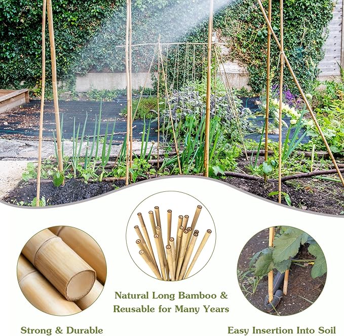 Plant Stakes 3FT, Natural Bamboo Stakes, HAINANSTRY 25Pcs Sturdy Bamboo Garden Stakes, Bamboo Sticks for Plants, Beans, Indoor and Outdoor Climbing Plants, Tomato Vegetable Stakes for Garden HAINANSTRY