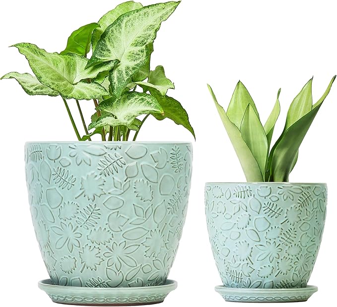 8 Inch + 6 Inch Plant Pots for Indoor Plants, Ceramic Planter with Drainage Hole and Saucers, Garden Pots for Succulent, Orchid, and Flower, Set of 2 Bestseler