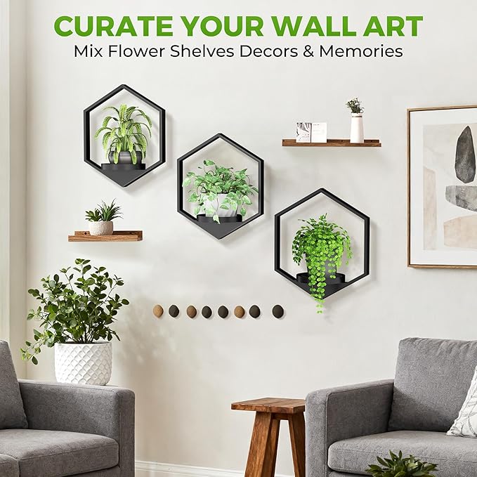 Wall Planters for Indoor Plants, Plant Frames Wall Decor Living Room Plant Stand Hanging Wall Plants Holder to Hold Large Pots Wall Plant Hanger Window Plant Shelves for Outdoor Entryway DEMEGA