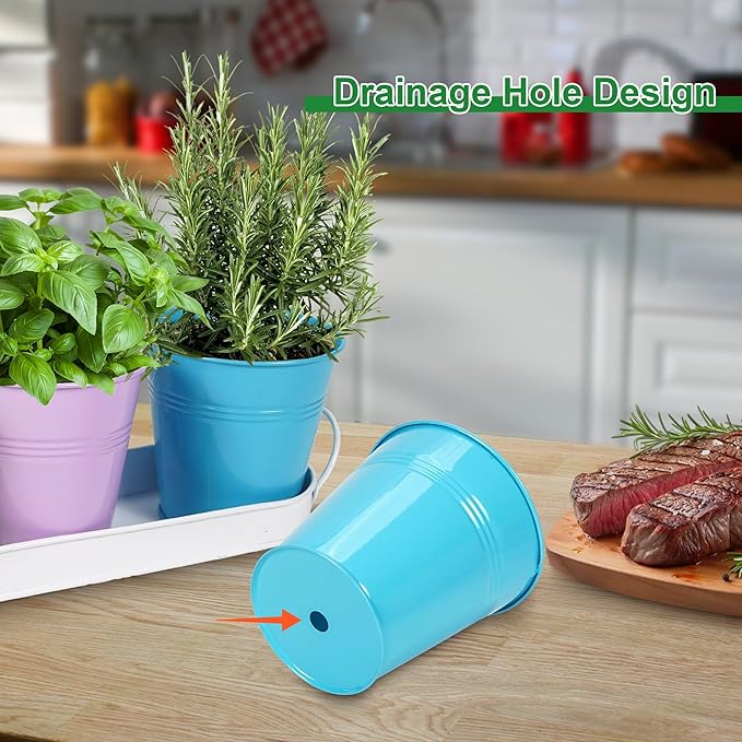 Herb Garden Planter Indoor Kit – 6 Metal Pots with 2 Trays for Windowsill & Kitchen Counter – Modern Decorative Indoor Planters for Herbs, Succulents & Small Plants Wacloud