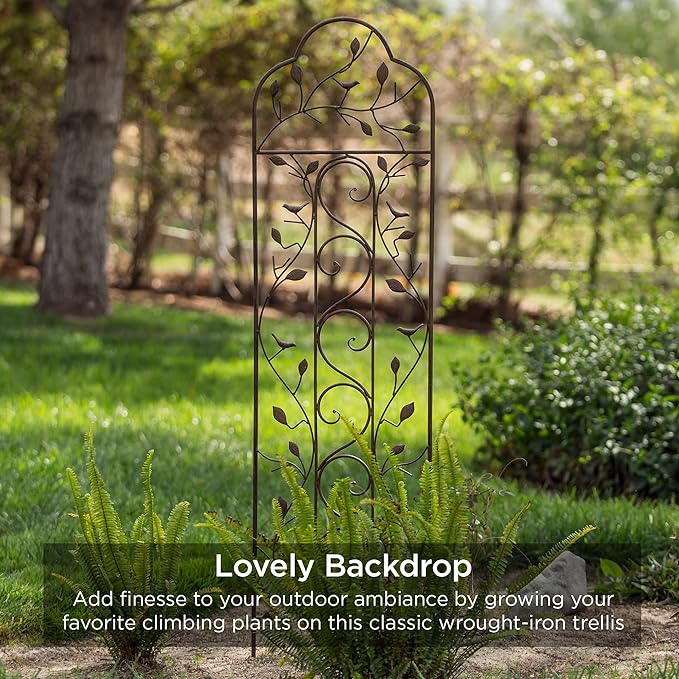 Best Choice Products Set of 2 60x15-inch Iron Arched Garden Trellis w/Branches, Birds for Lawn, Garden, Backyard, Climbing Plants BestChoiceProducts