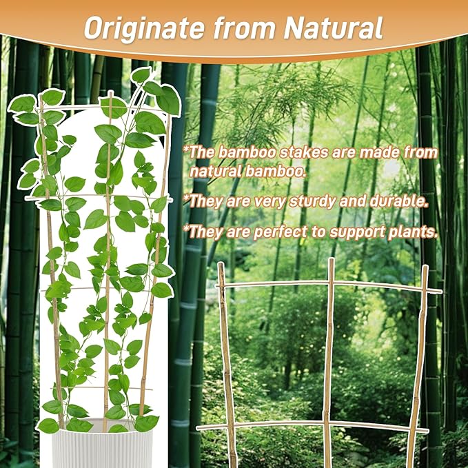 10 Pack 4ft Bamboo Trellis for Climbing Plants - Fan-Shaped Support Trellis for Potted Plant Decor in Door Biotolot