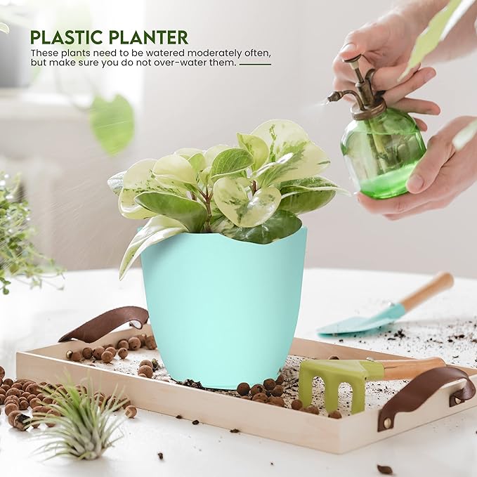 Utopia Home - Plant Pots Indoor with Drainage - 7/6.6/6/5.3/4.8 Inches Flower Pots for Indoor Planter - 5 Pack Plastic Planters - Ideal for Stocking Stuffers or Home Christmas Decorations - Aqua UTOPIAHOME