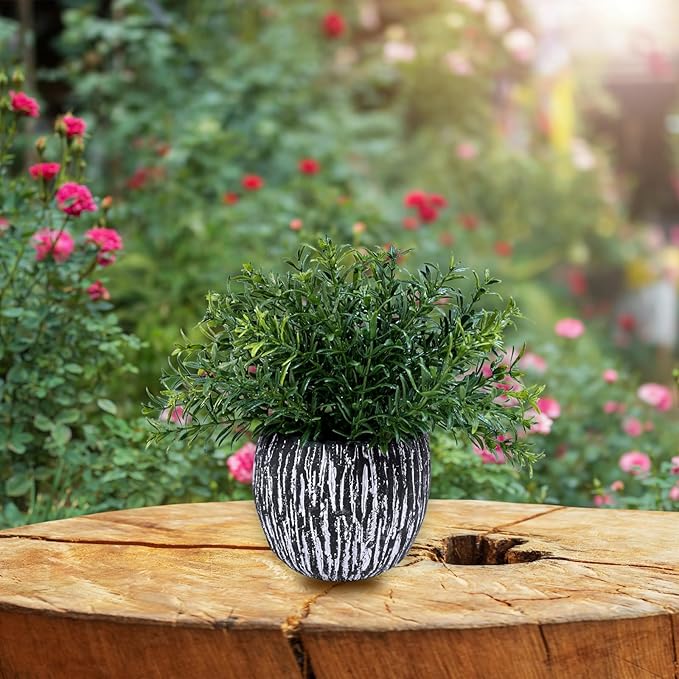 Winlyn Set of 3 Artificial Potted Plants Faux Eucalyptus Rosemary Boxwood Greenery in Black & White Concrete Pots Small Fake Plant for Indoor Outdoor Home Office Table Shelf Windowsill Greens Décor Winlyn