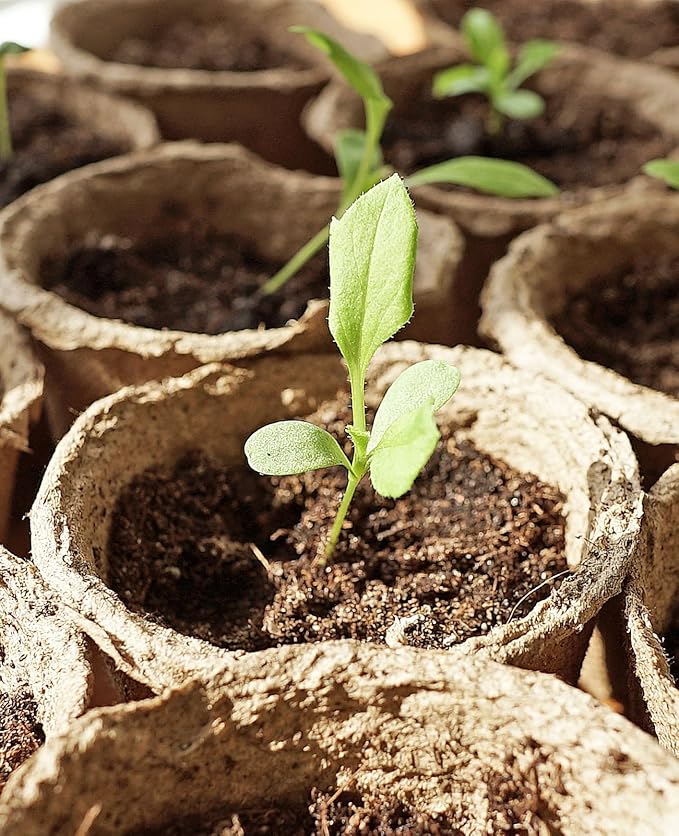 homenote Peat Pots, 30 Pcs 4 Inch Seed Starting Pots with Drainage Holes Round Nursery Plants Pots with Bonus 20 Plant Labels HOMENOTE