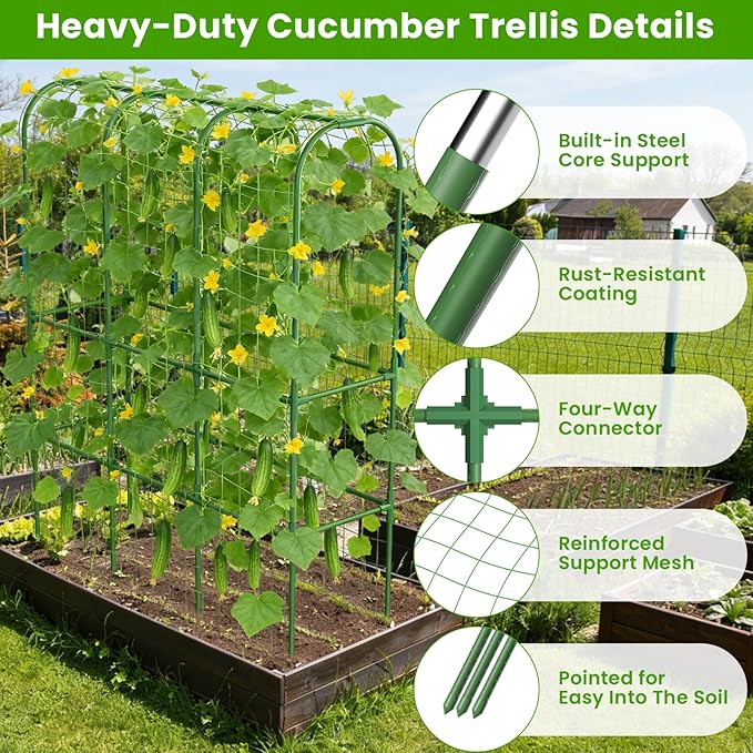 2 Pack 65in Tall Cucumber Trellis for Raised Bed, 50" L x 65" H Metal Garden Trellis for Climbing Plants Outdoor, U-Shape Vegetables Trellis Support for Squash Zucchini ZPMOCKAQ