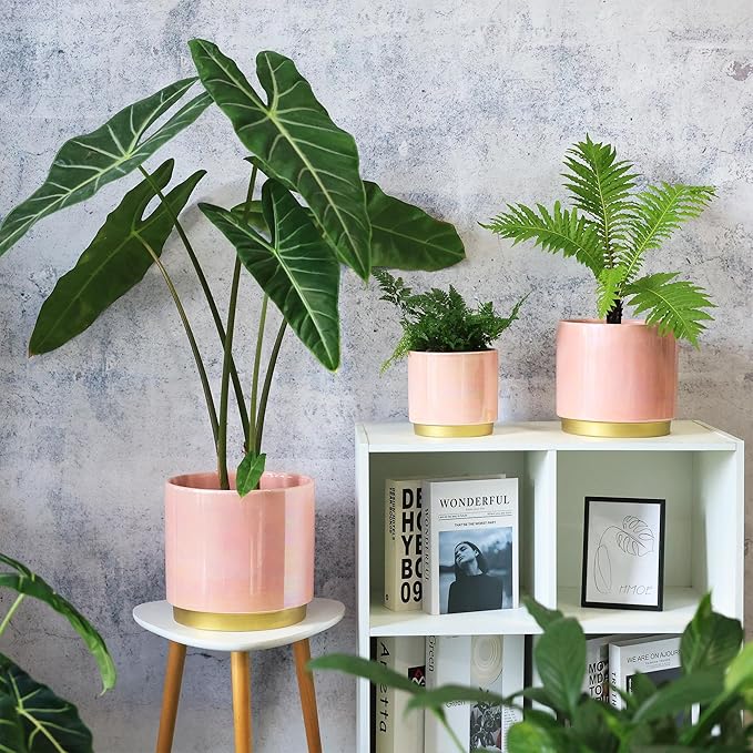 Gepege Pink Indoor Plant Pots for Plants, Ceramic Planter with Drainage Hole, 7.6 Inch +6 Inch 2pcs Succulent Orchid Flower Pot - Rainbow Pearl Glaze Gepege