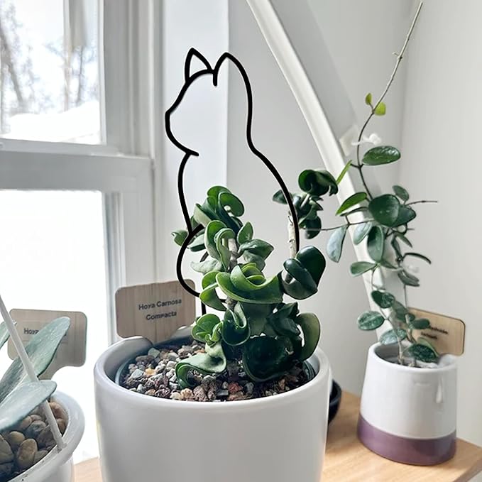 Cat-Shaped Small Trellis for Potted Plants, 13 inches Hoya Trellis 2 Pack, Metal Plant Trellis for Climbing Plants Indoor, Houseplants Trellis Indoor (Black) Rootora