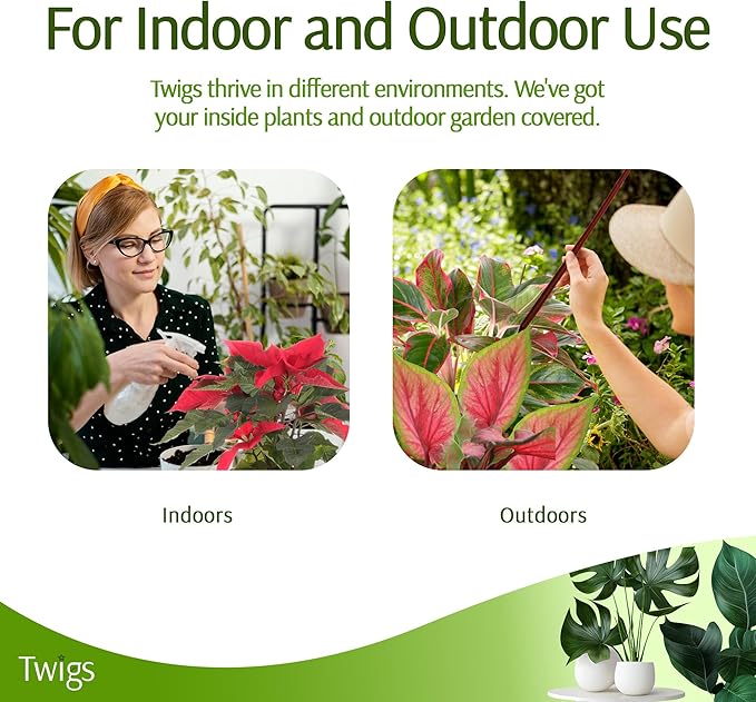 Mini Twigs Plant Support Stakes for Small Plants, Indoor & Outdoor Use, Gardening Supplies, Garden Accessories, Trellis & Ring Alternative, Made in USA - Begonia (Red), 10 Pack, 12" L TwigsGardenAccessories