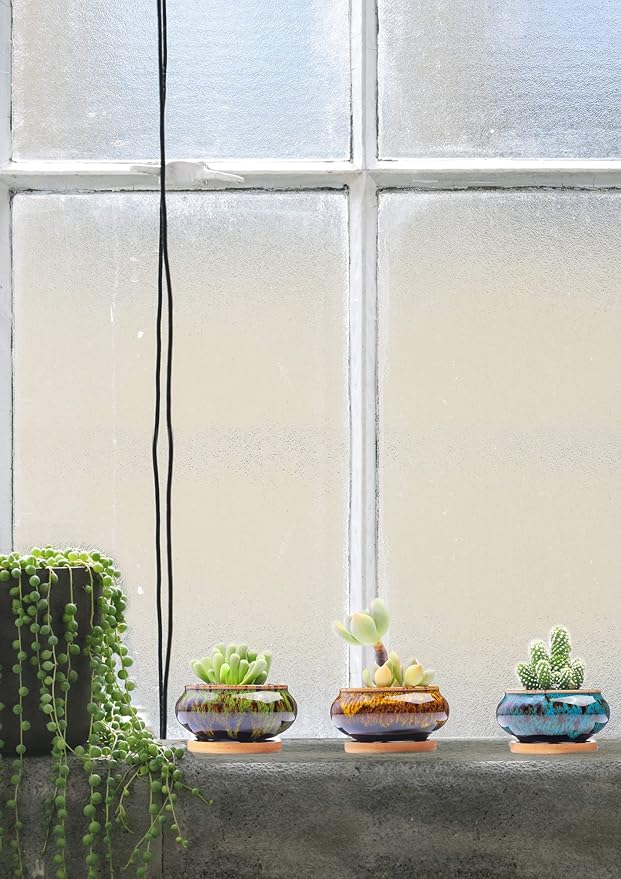 Cute Ceramic Succulent Garden Pots, Planter with Drainage and Attached Saucer, Set of 5 -Plants Not Included (Burner) LamDawn