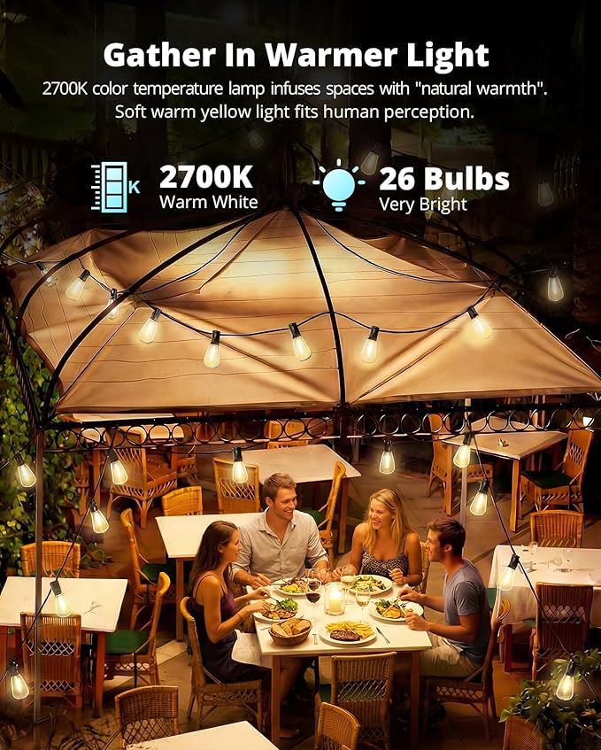 VIPAR Outdoor String Lights 60FT LED Patio Lights LED Waterproof with 26+2 Shatterproof ST38 Edison Bulbs, 2700K Connectable Outside Hanging Light for Porch, Garden, Backyard, Deck, Balcony, Decor VIPAR